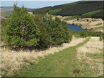 NN9702 : Glen Quey native woodland by wrobison