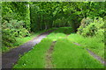 On the Castleman Trailway