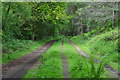 On the Castleman Trailway near Holly Grove Farm