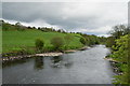 River Strule, Gortinagin / Carrigans