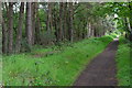 On the Castleman Trailway behind houses in Struan Gardens