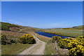 Following the Halladale River towards Melvich Bay