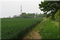 Telephone mast near Farndish