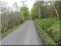 Road near to Cala