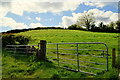 Gate and countryside, Lisleen