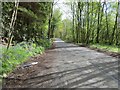 Road beside the north bank of the River Tay near to Cluny House