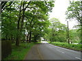 Brocton Road towards the A513