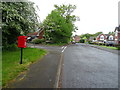 Elizabeth II postbox on  Checkley Lane, St George