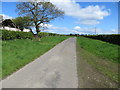 Hedge-lined minor road at the derelict Cubbyhill Cottages