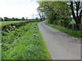 NY3369 : Hedge and tree-lined minor road near to Newton Flow by Peter Wood