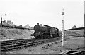 Freight locomotives at Alloa, 1965