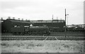 NT2897 : Thornton locomotive shed, 1965 by Alan Murray-Rust