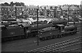 NT1087 : Dunfermline loco shed, 1965 by Alan Murray-Rust