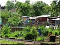 Groby Road Allotments