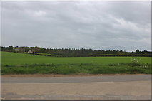 TF1102 : Field by Langley Bush Road by David Howard