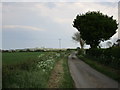 Newcot Lane, Heighington