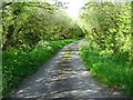 Country road near Church Hill