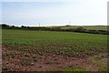 SM8207 : Farmland near St Ishmael's by Philip Halling