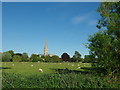 SU1429 : Salisbury Cathedral from Harnham Water Meadows by Colin Cheesman