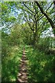 Bridleway to Mount Rd