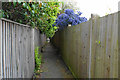 Path behind the houses