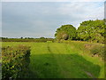 Footpath towards Rodington