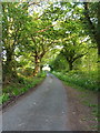 Drury Lane, looking south