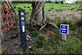 SIA IAT marker post along Carrigans Road