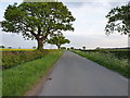 South on the lane towards Upton Magna