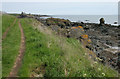 NO5100 : Shore beside the Fife Coastal Path by Richard Sutcliffe
