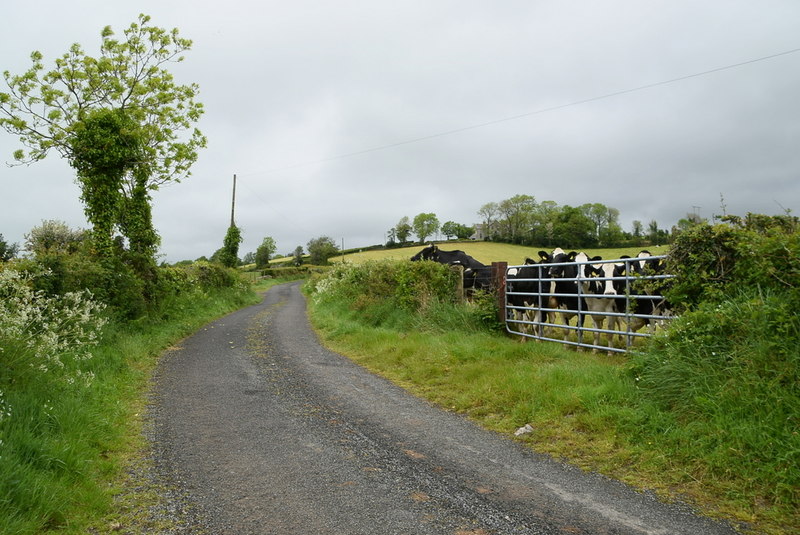 Carrigans Park Road © Kenneth Allen cc-by-sa/2.0 :: Geograph Britain ...