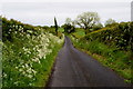 Carrigans Road, Carrigans