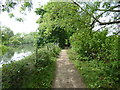 Footpath across Pynesfield Lake