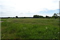 Farmland off Wrexham Road (A483)