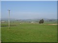 Pasture, near Longrutton Gate