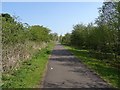 Cyclepath, New Cargenbridge