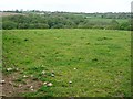 Farmland above Millin Pill