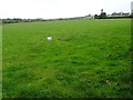 Farmland north of Rhos