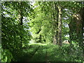 Footpath to Norton on Derwent