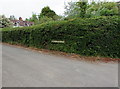 ST6092 : Featherbed Lane name sign in a hedge, Oldbury-on-Severn  by Jaggery
