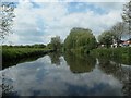 The navigable River Soar, Birstall, looking upstream