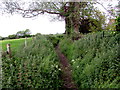 Dried-up rhine near Featherbed Lane, Oldbury-on-Severn