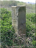 SJ3069 : Hawarden/Englefield Lordship/Flint Boundary Stone near the River Dee (east face) by John S Turner