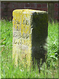 SJ3069 : Hawarden/Englefield Lordship/Flint Boundary Stone at Connah's Quay Waste Water Treatment Works by John S Turner