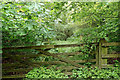 Gate into Grinkle Wood