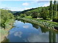 SO5301 : The river Wye seen from Brockweir Bridge, looking north by Rob Purvis