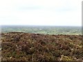 View West from Croslieve Mountain