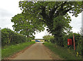 Postbox in Branthill Lane,  B1105 Wells Road ahead