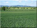 View to the Malvern Hills