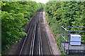 Looking down on the railway from Lennox Road